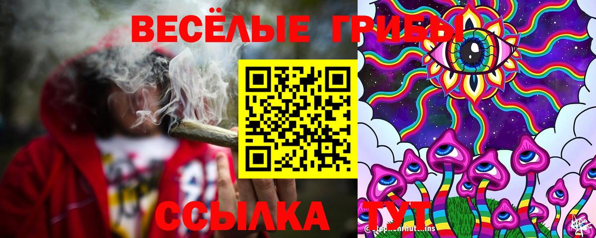 купить   Галлюциногенные грибы мицелий  Вход с VPN  Галлюциногенные грибы мухоморы  Тихорецк 